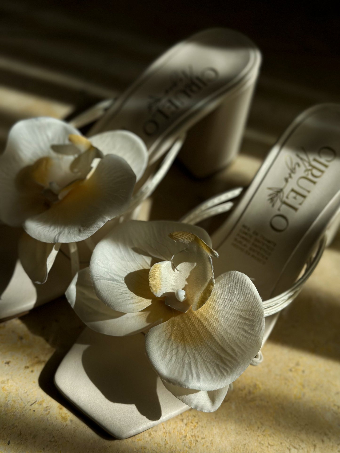 Orquidea