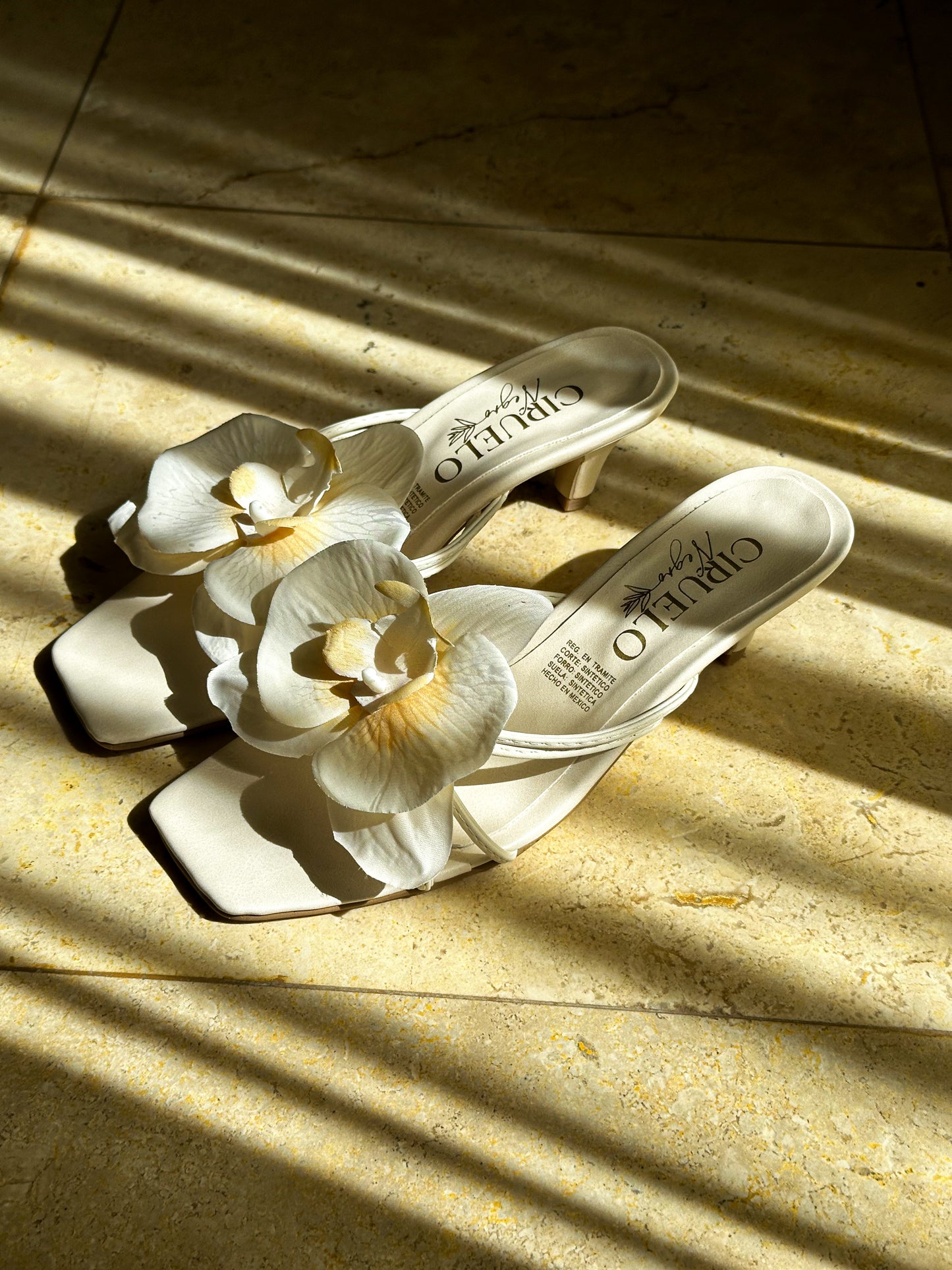 Orquídea Mini