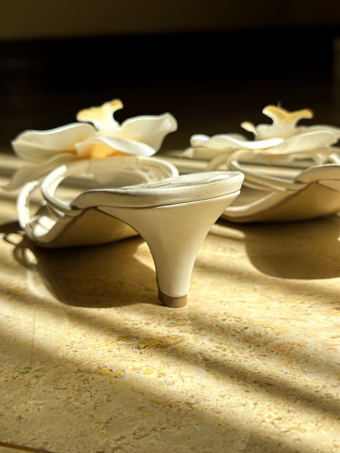 Orquídea Mini