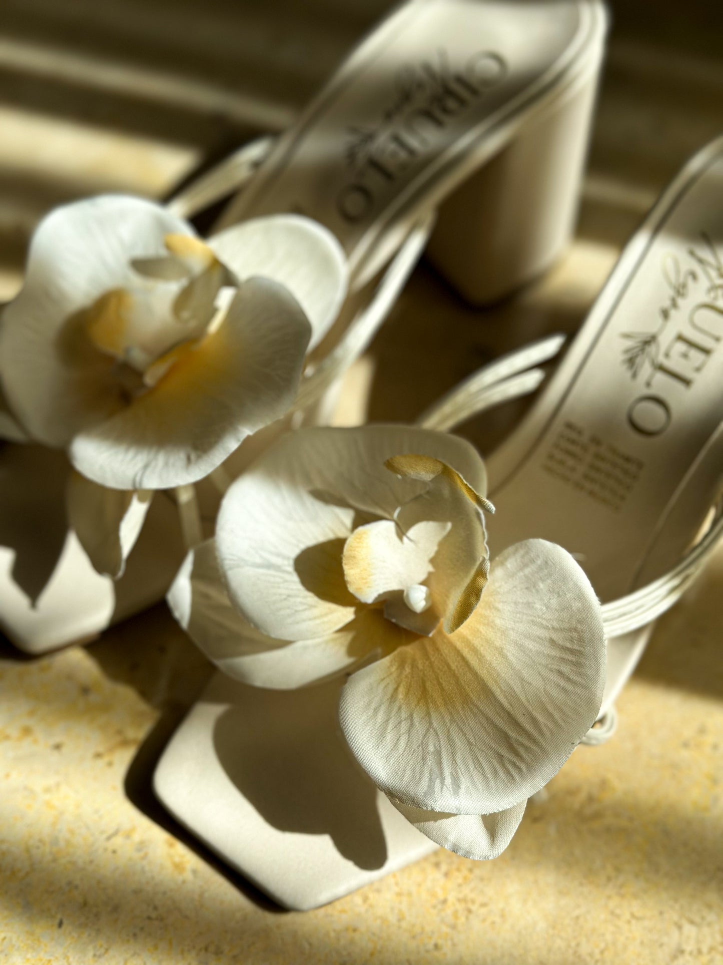 Orquidea