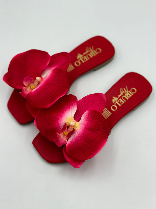 Orquídea Roja